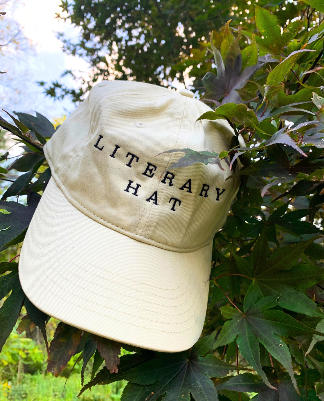 Lit Hub Hat